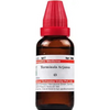 Dr. Willmar Schwabe India Terminalia Arjuna Mother Tincture Q